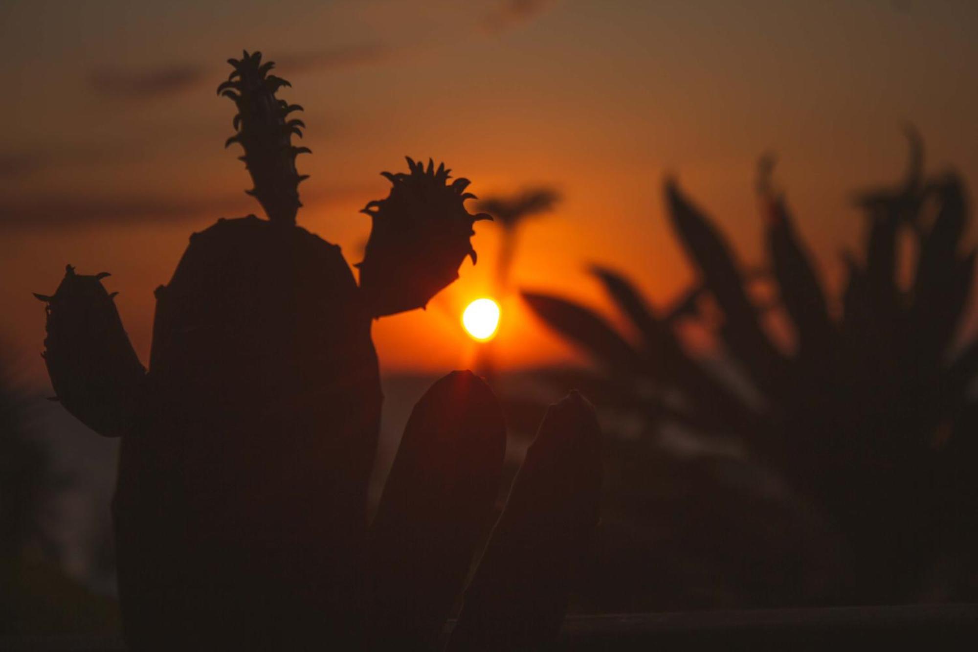 Coucher De Soleil Ambatoloaka  Eksteriør bilde